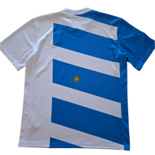 Load image into Gallery viewer, Jersey Argentina Rugby Union 2012/13 Nike Vintage
