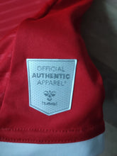 Load image into Gallery viewer, Jersey Charlton Athletic 2020-21 home
