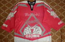 Load image into Gallery viewer, Jersey Bremerhaven Fischtown Pinguins 2010 Dejdar #19 Deutsche Eishockey Liga
