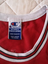 Load image into Gallery viewer, Authentic jersey Michael Jordan Chicago Bullls NBA 1994-1996 Champion Vintage
